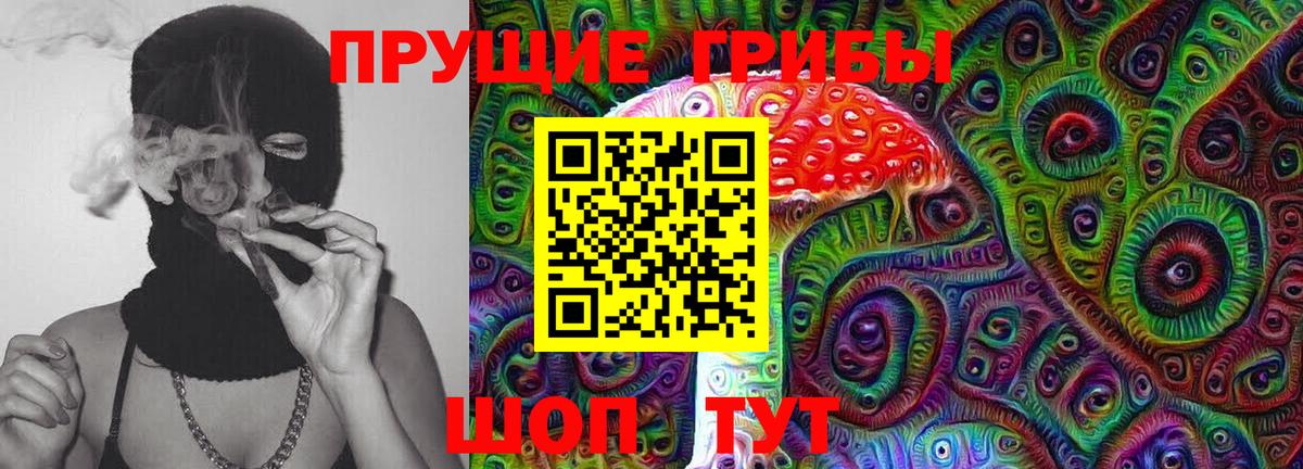 Псилоцибиновые грибы прущие грибы  Вход с VPN  Майский 